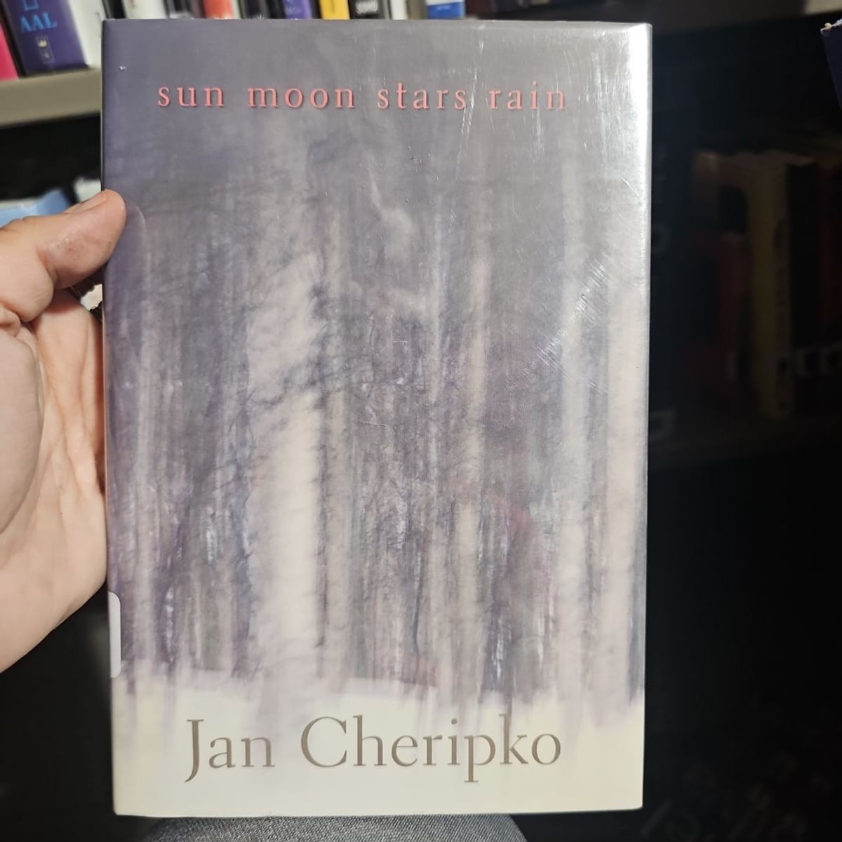 Sun, Moon, Stars, Rain by Jan Cheripko