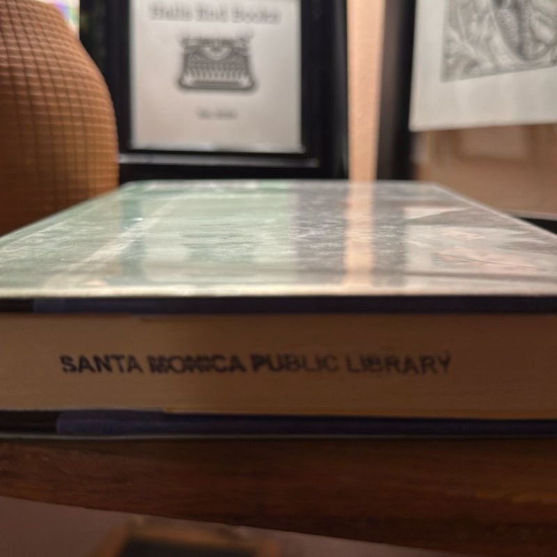 The Forgotten Affairs of Youth