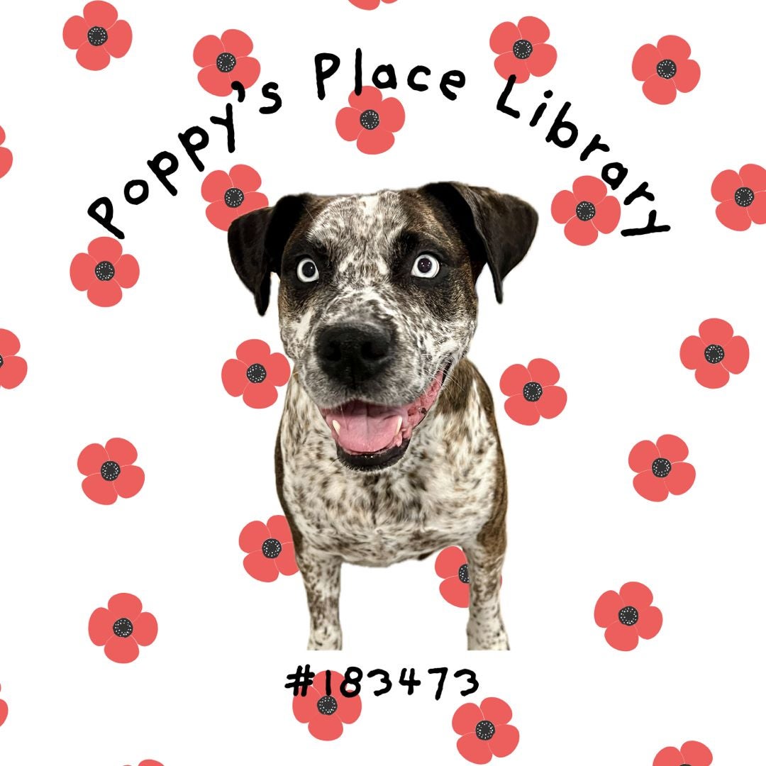 Poppy’s Place Library