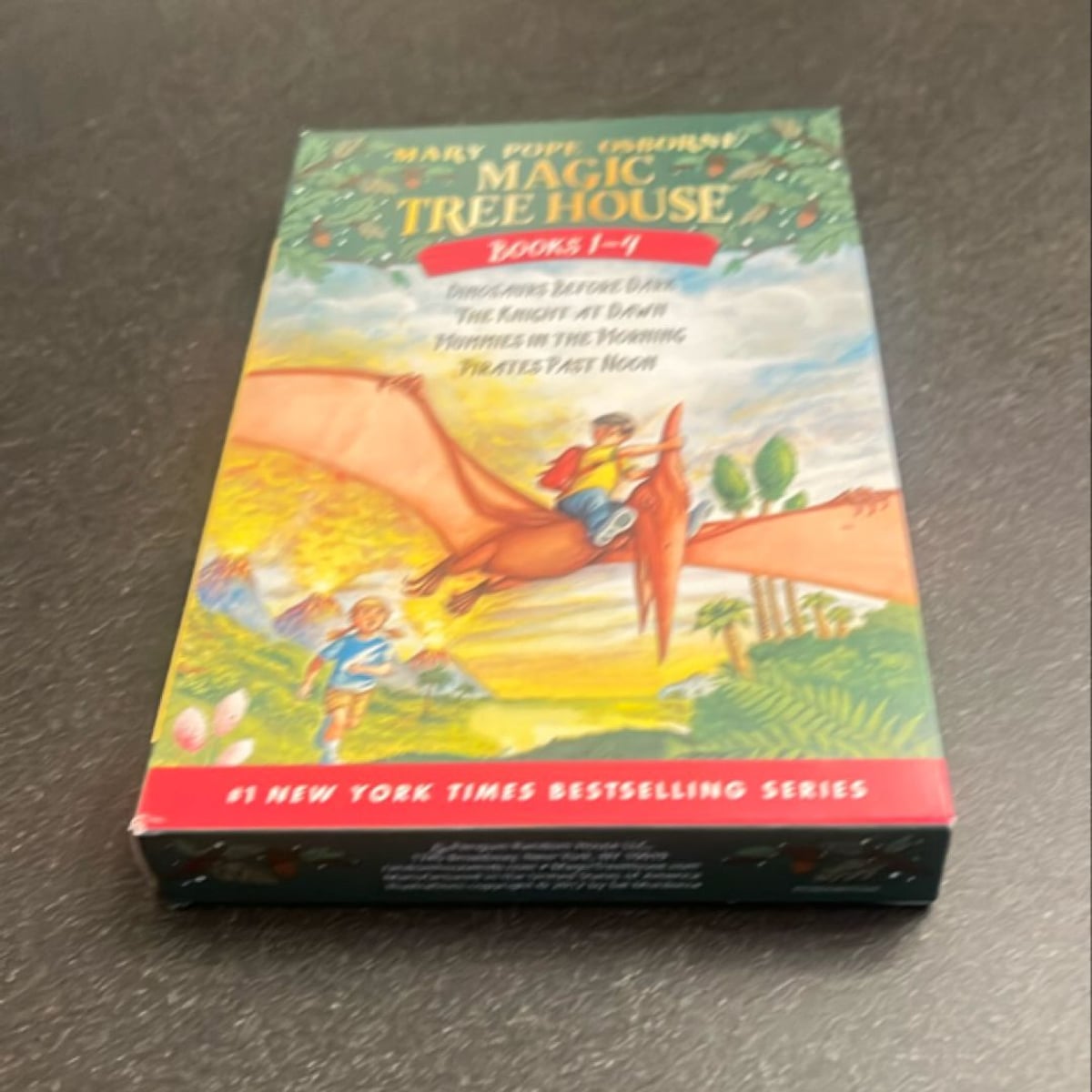 Magic Tree House Books 1-4 Boxed Set by Mary Pope Osborne