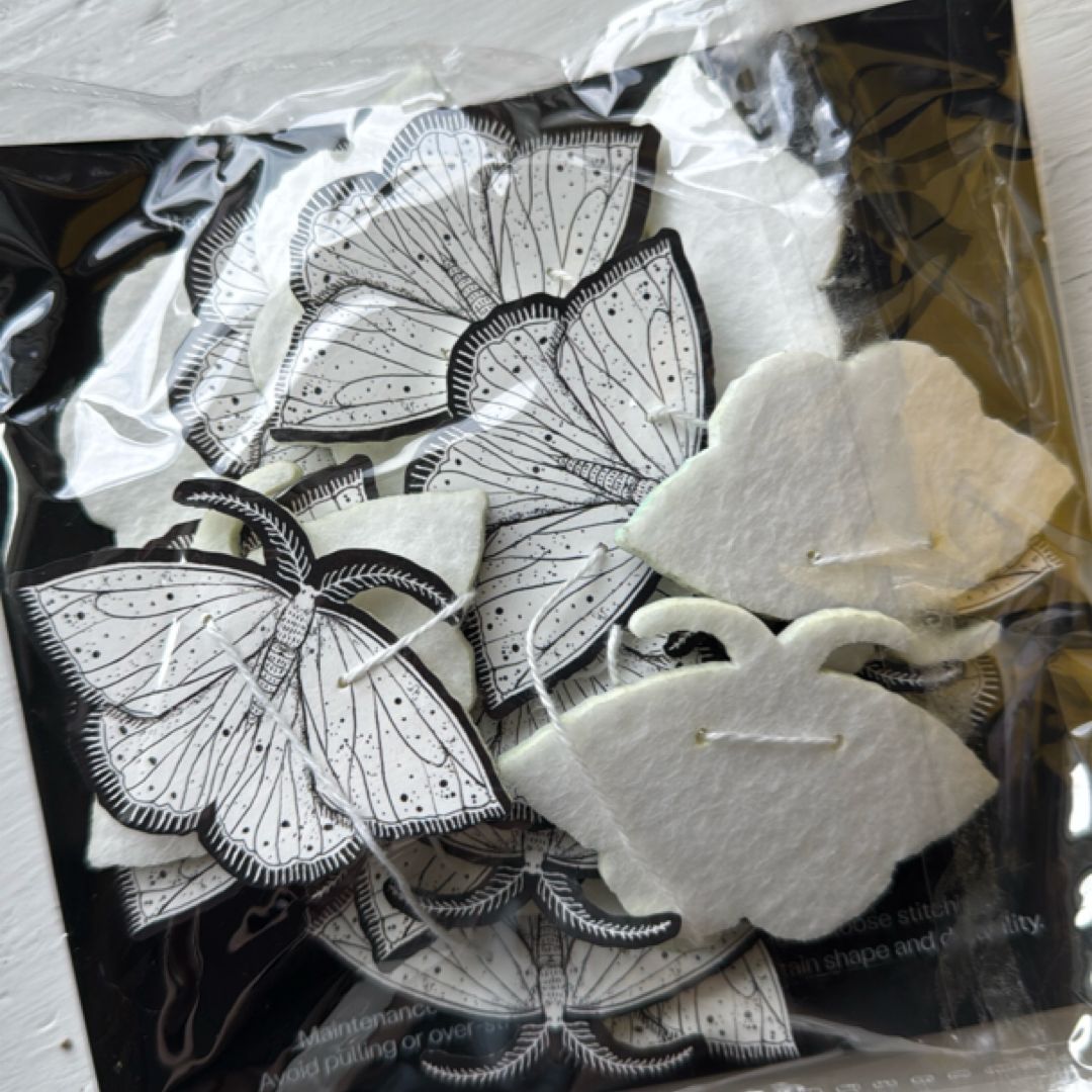 The Knight and the Moth