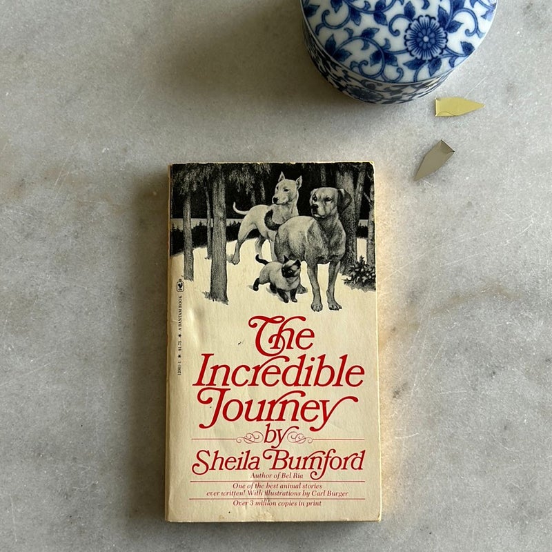 The Incredible Journey