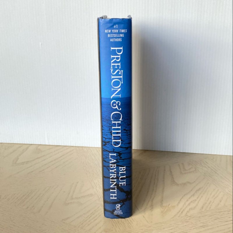 Blue Labyrinth - Hardcover First Edition 