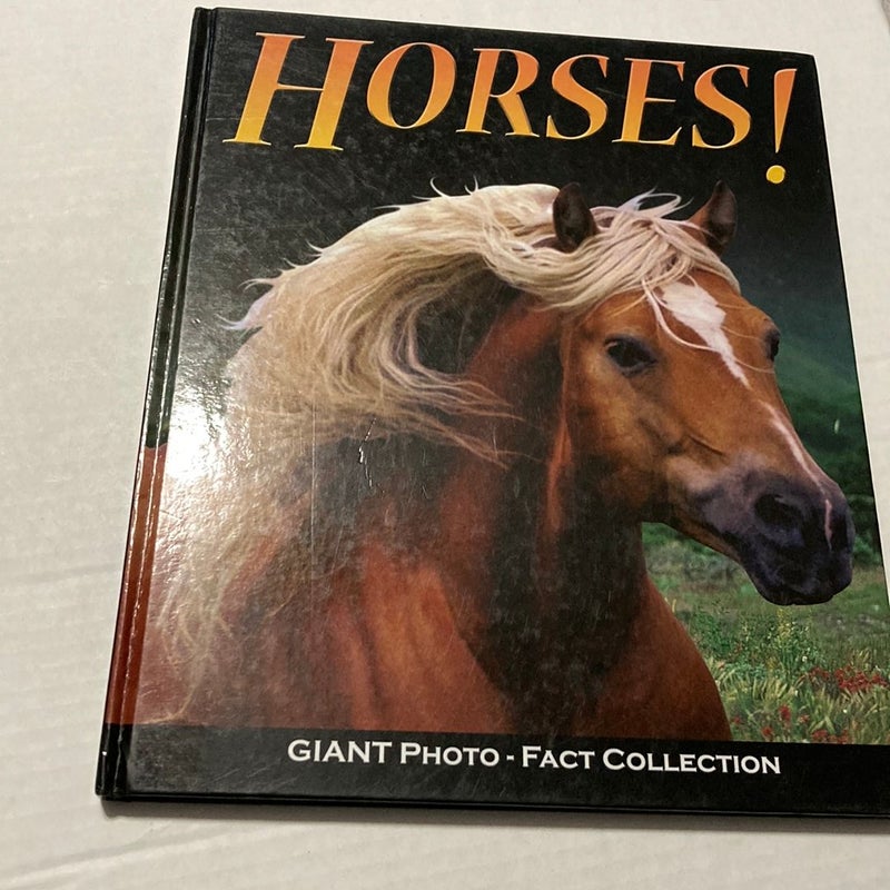 Horses!