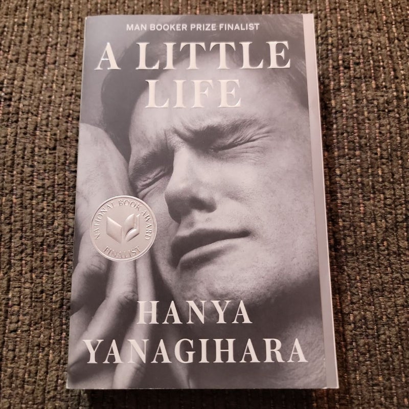 A Little Life