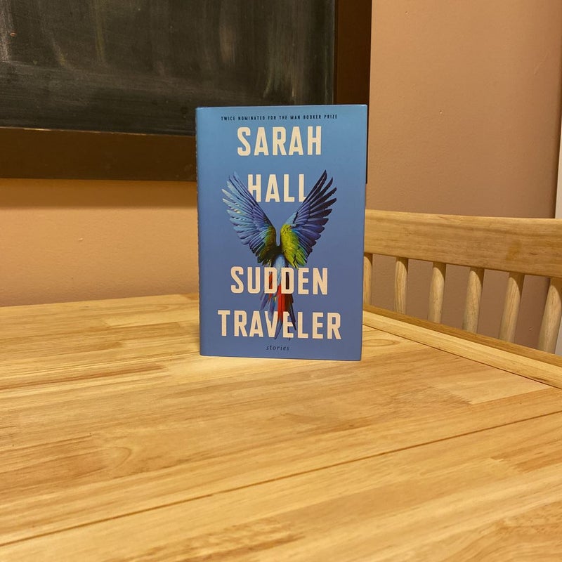 Sudden Traveler