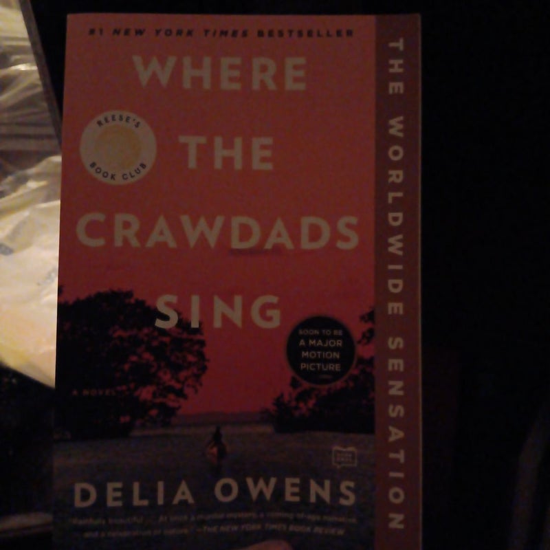 Where the Crawdads Sing