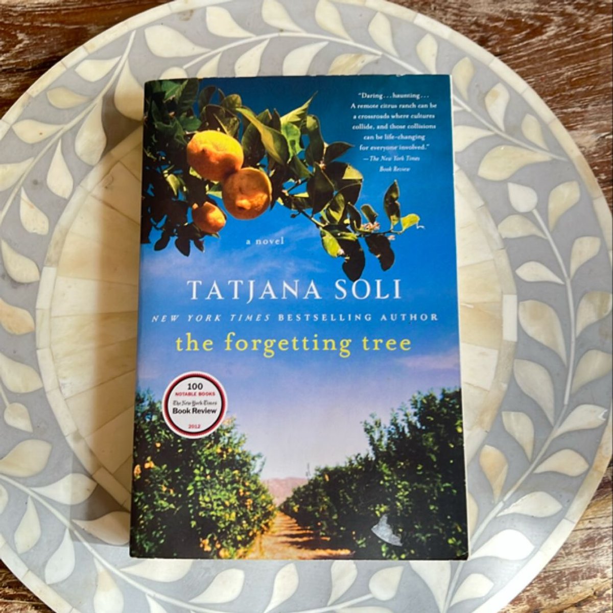 The Forgetting Tree by Tatjana Soli