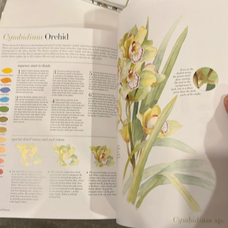 Kew: the Watercolour Flower Painter's a to Z