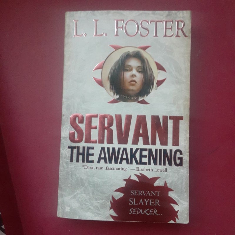 Servant: the Awakening