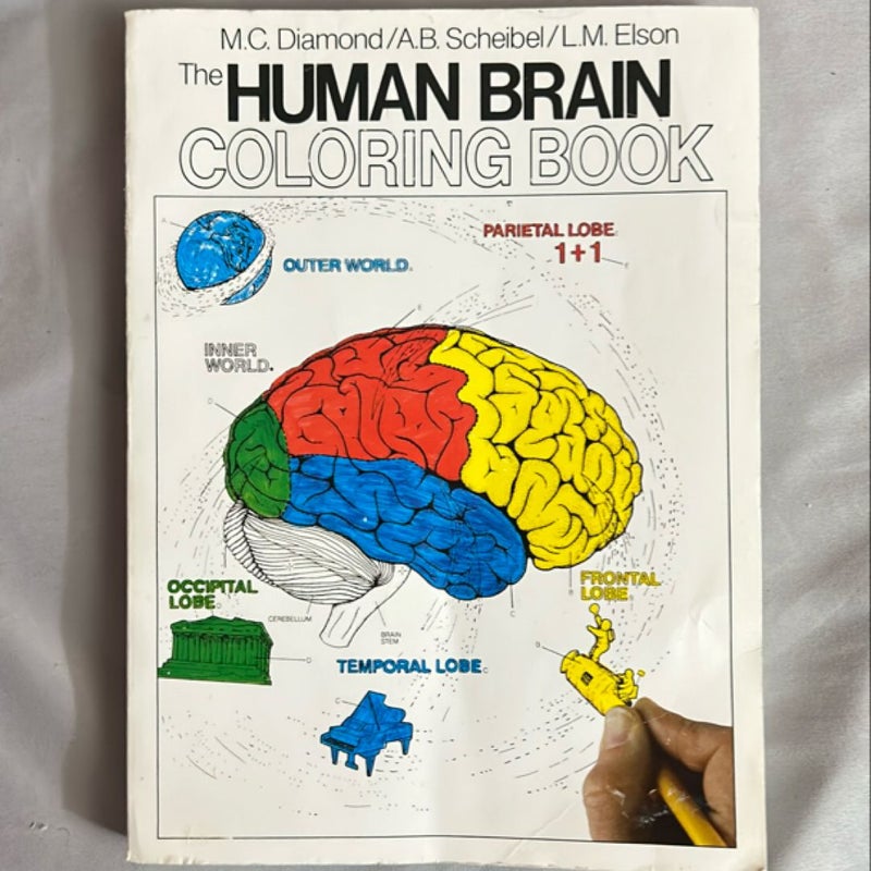 The Human Brain Coloring Book