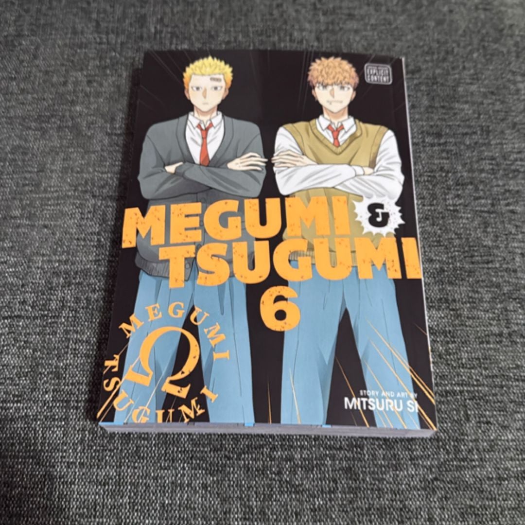 Megumi and Tsugumi, Vol. 6