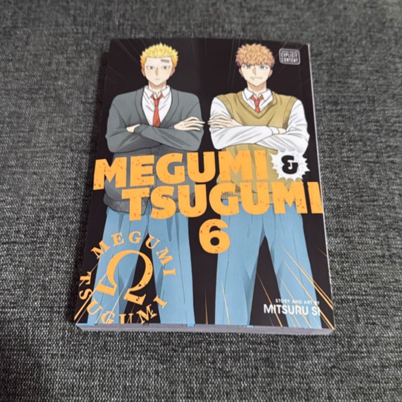 Megumi and Tsugumi, Vol. 6