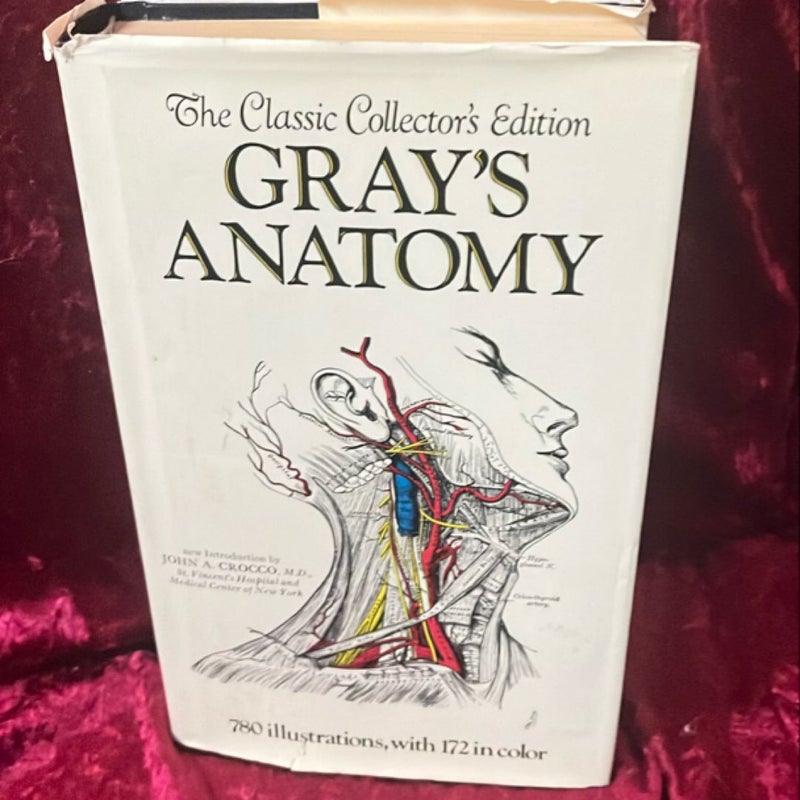 Gray's Anatomy