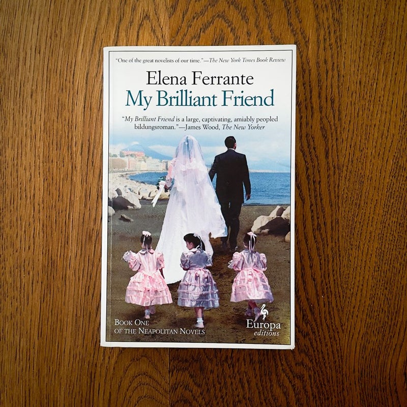 My Brilliant Friend