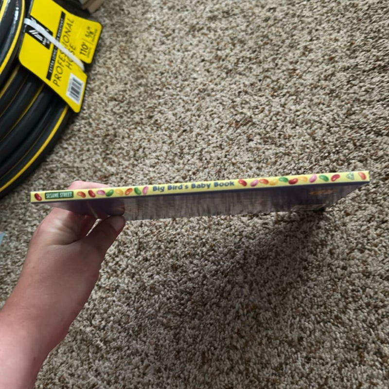 Big bird’s baby book