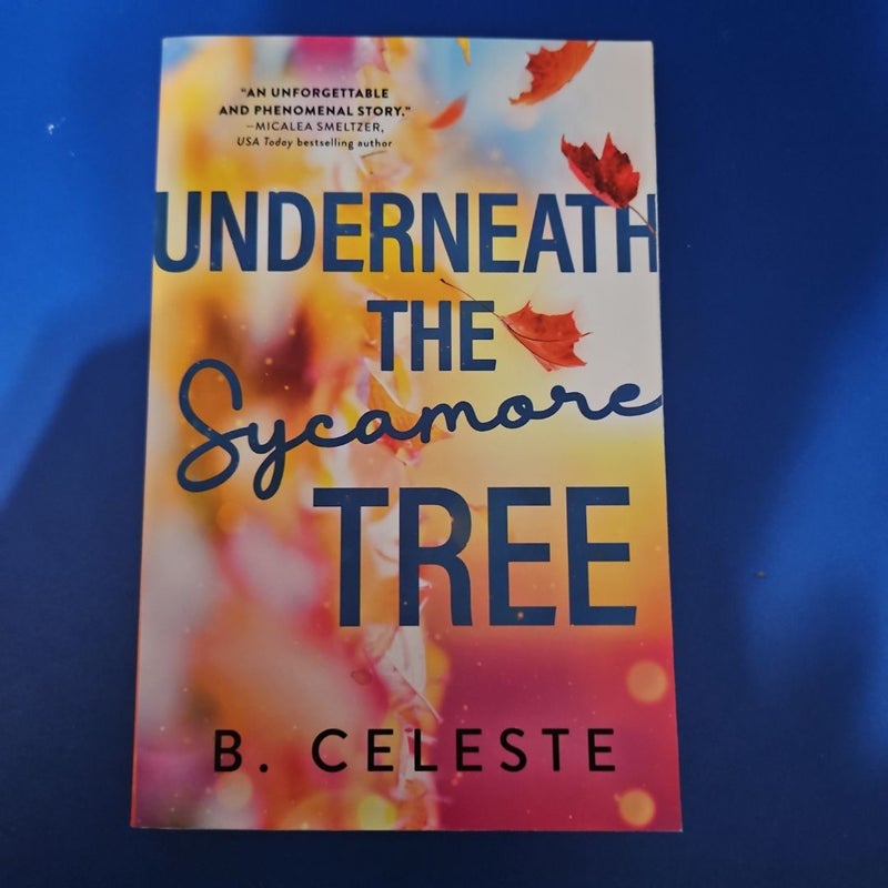 Underneath the Sycamore Tree
