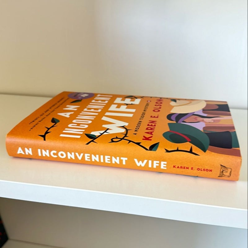 An Inconvenient Wife