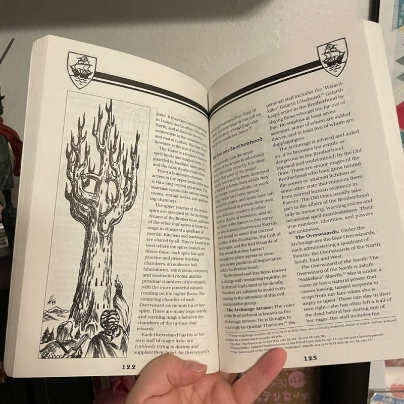 Forgotten Realms: Volo’s Guide to the NORTH