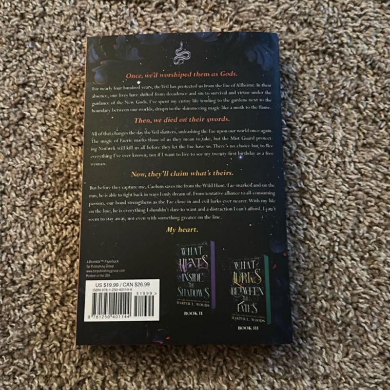What Lies Beyond the Veil