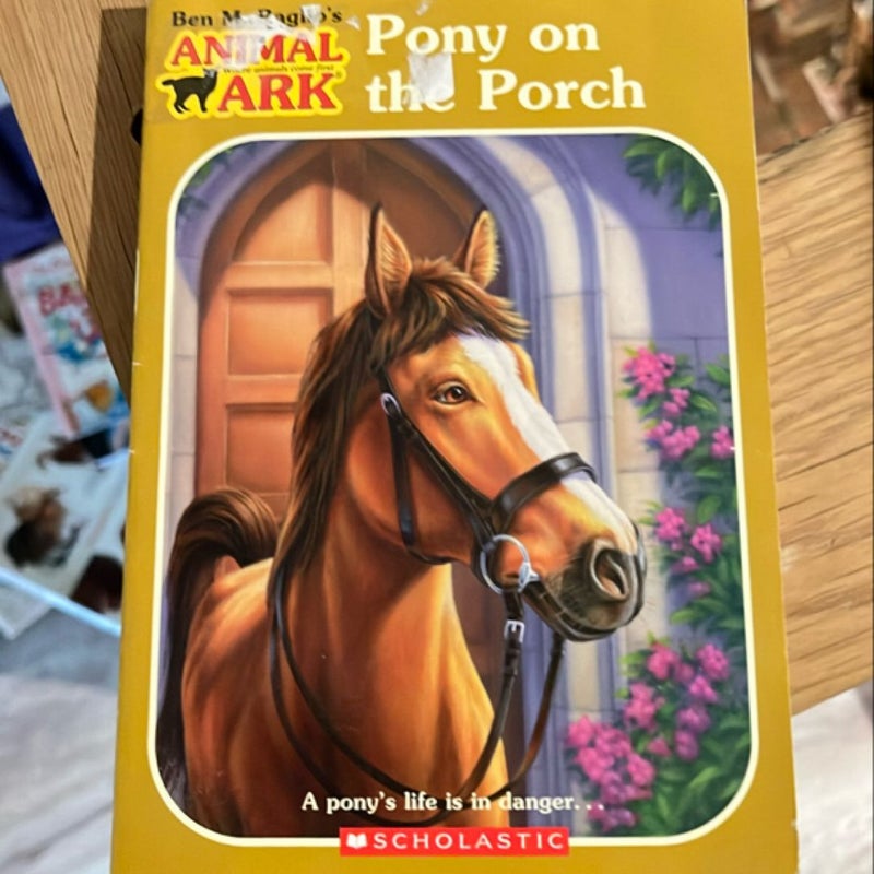 Pony on the Porch