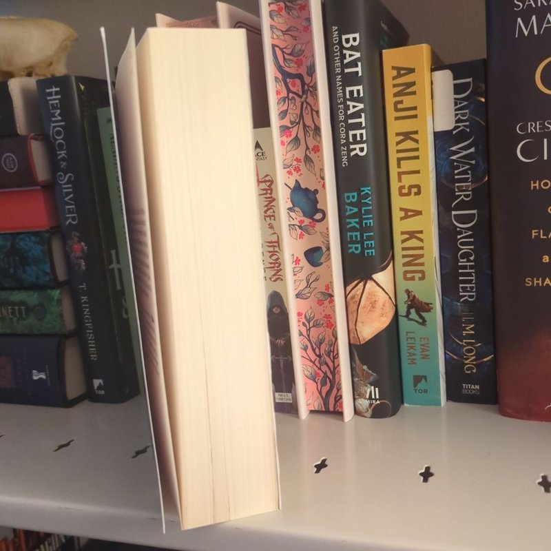 The Missing of Clairdelune