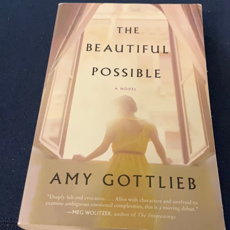 The Beautiful Possible: First Edition