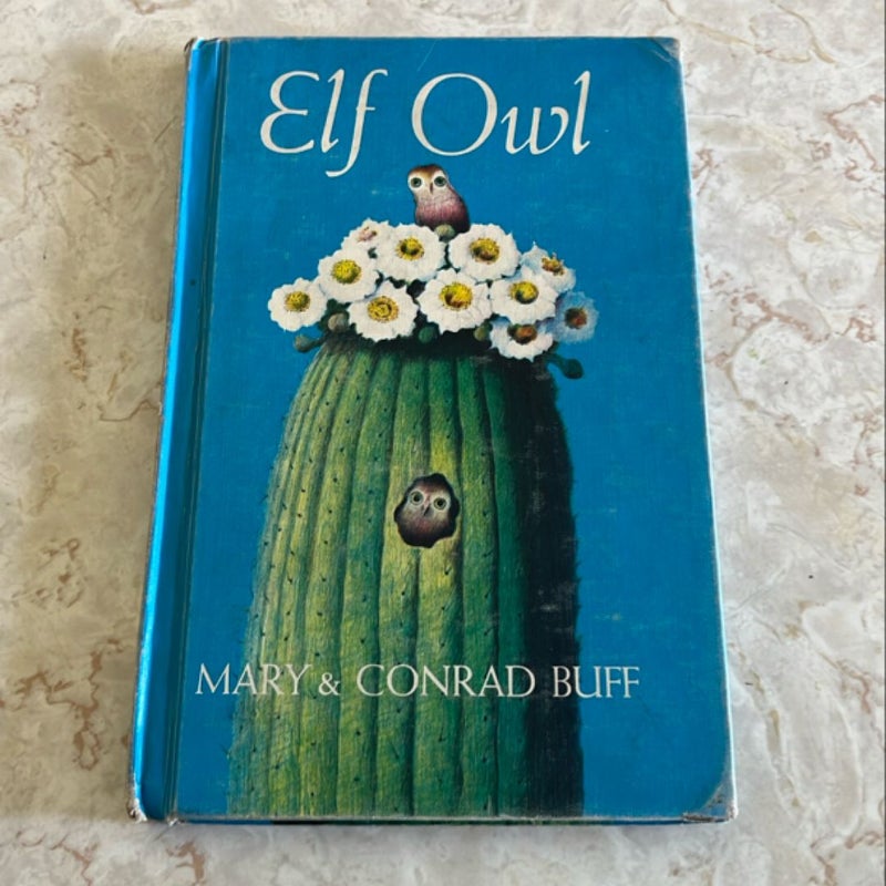 Elf Owl