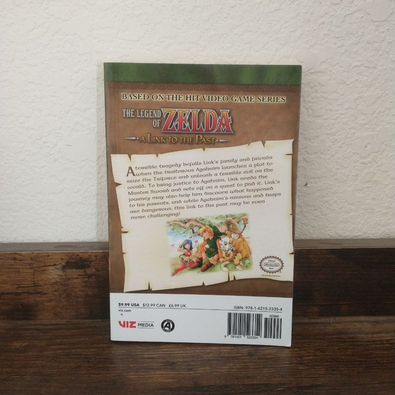 The Legend of Zelda, Vol. 9