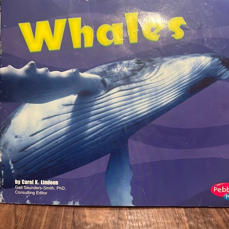 Whales [Scholastic]