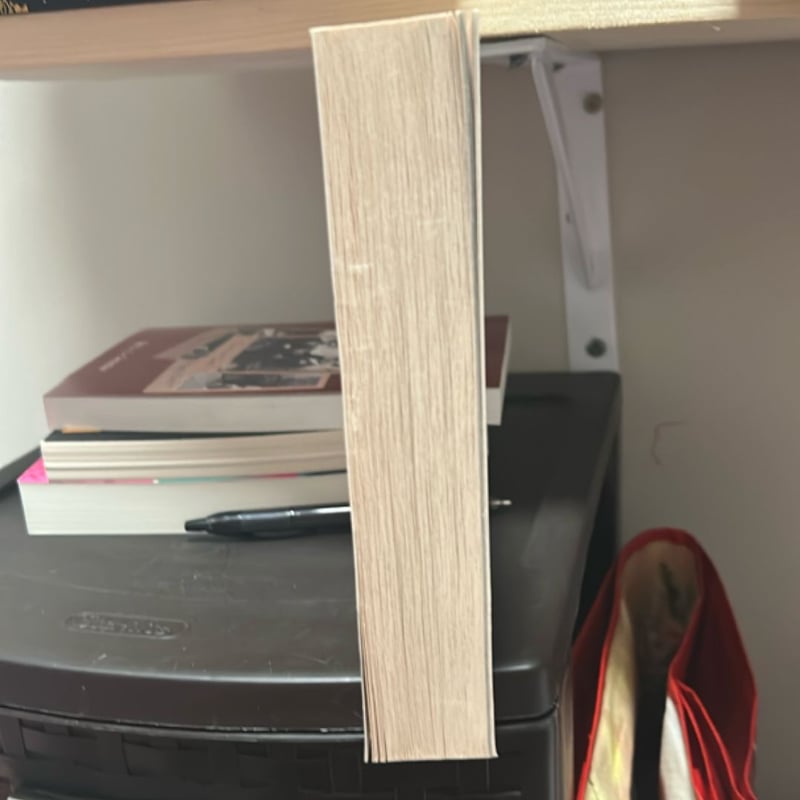 The Brothers of Auschwitz