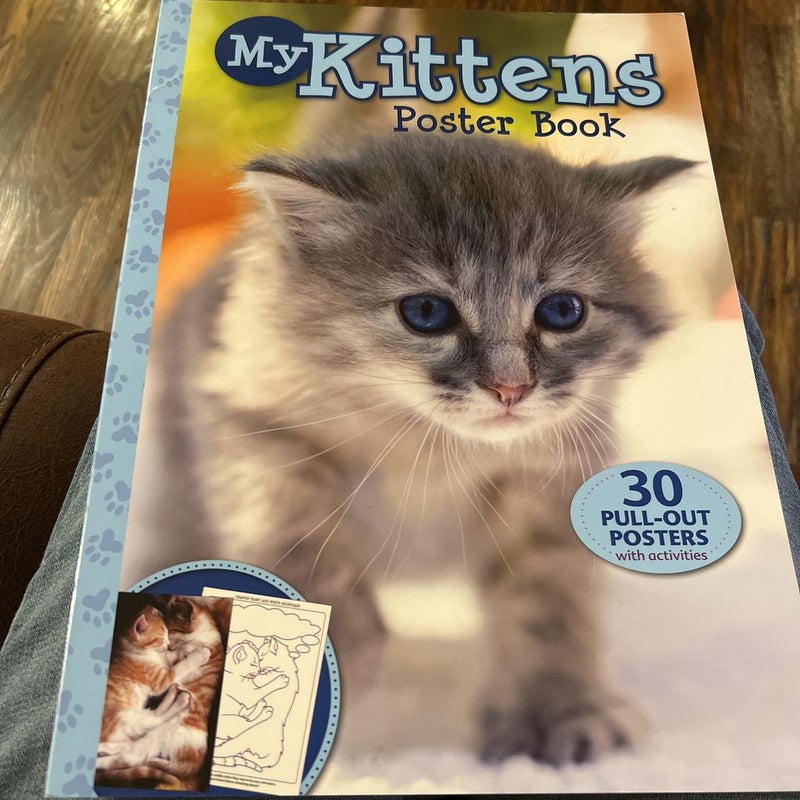 My kittens poster book 
