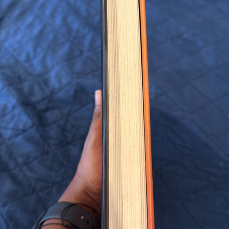 The Return of Ellie Black