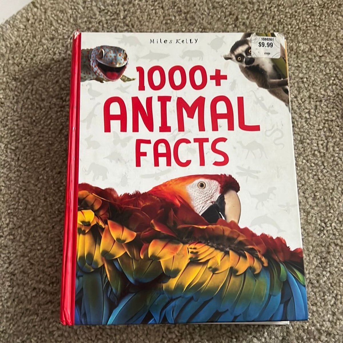 FUN FACTS ABOUT 1000 visual data 2