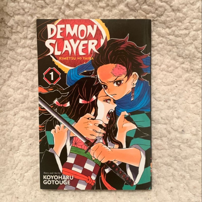 Demon Slayer: Kimetsu No Yaiba, Vol. 1