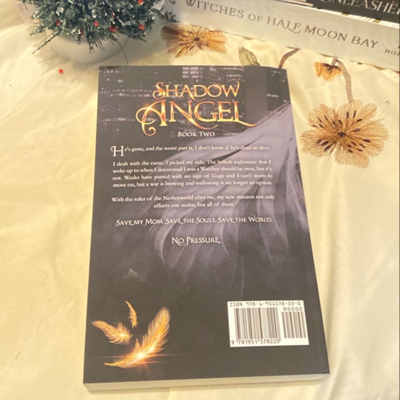 Shadow Angel: Book Two