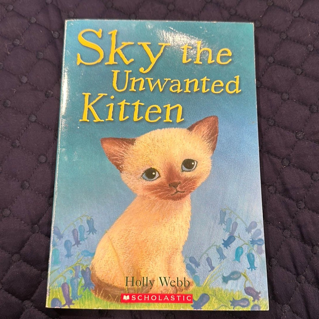 Sky the Unwanted Kitten