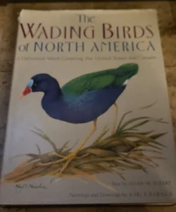 Wading Birds of North America
