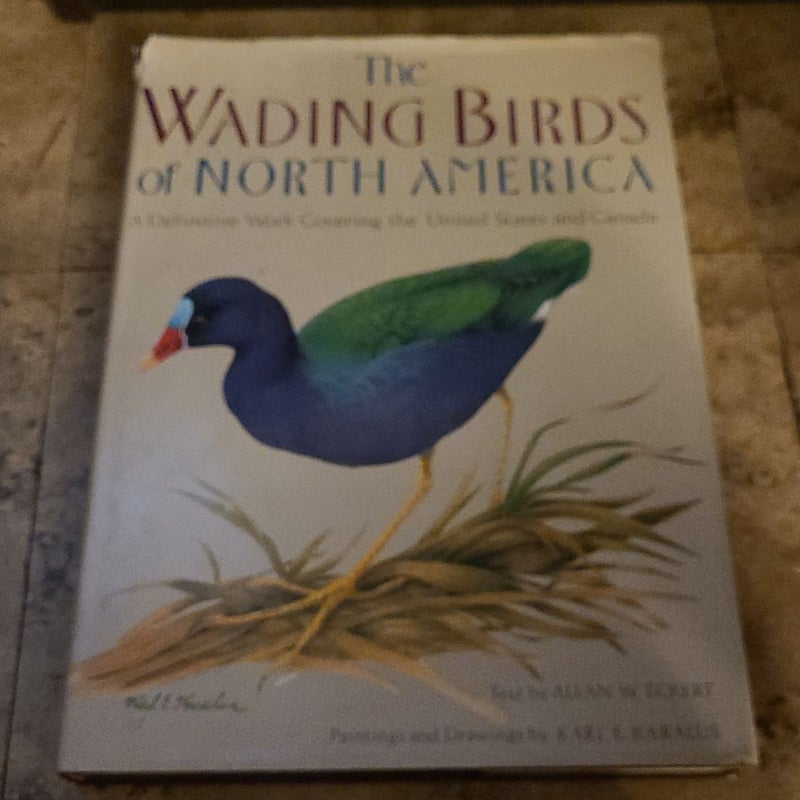 Wading Birds of North America