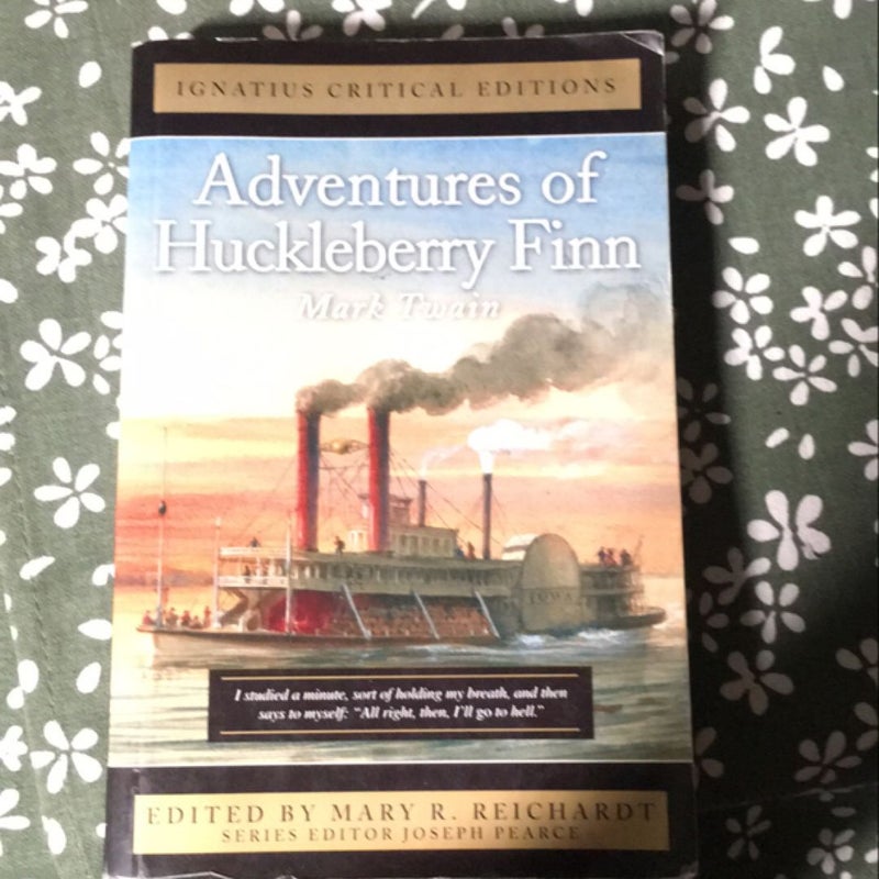 The Adventures of Huckleberry Finn