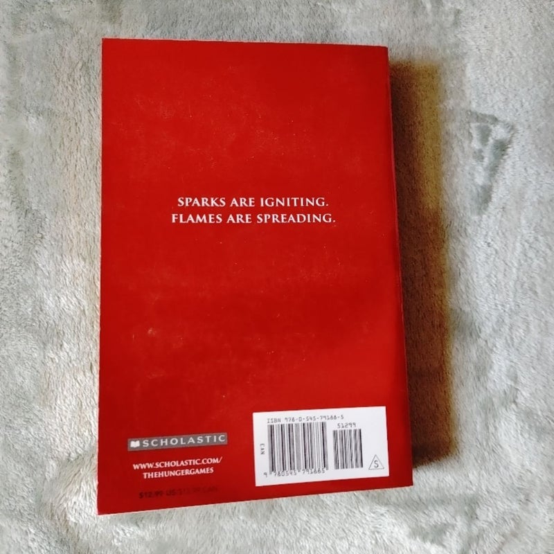 Catching Fire (reflective covers)