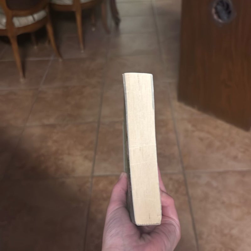 Memoirs of an Imaginary Friend