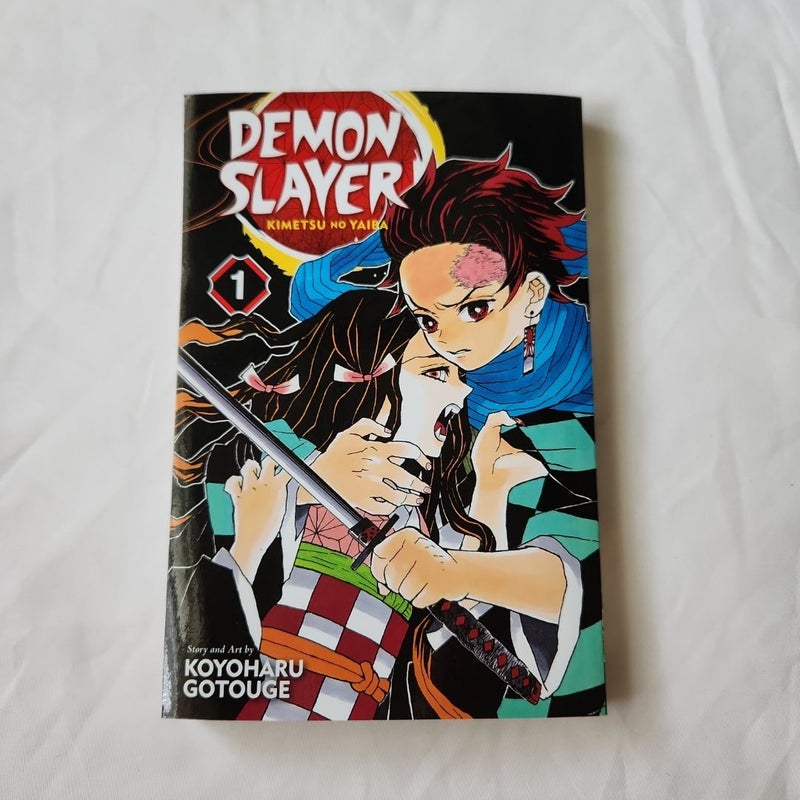 Demon Slayer: Kimetsu No Yaiba, Vol. 1