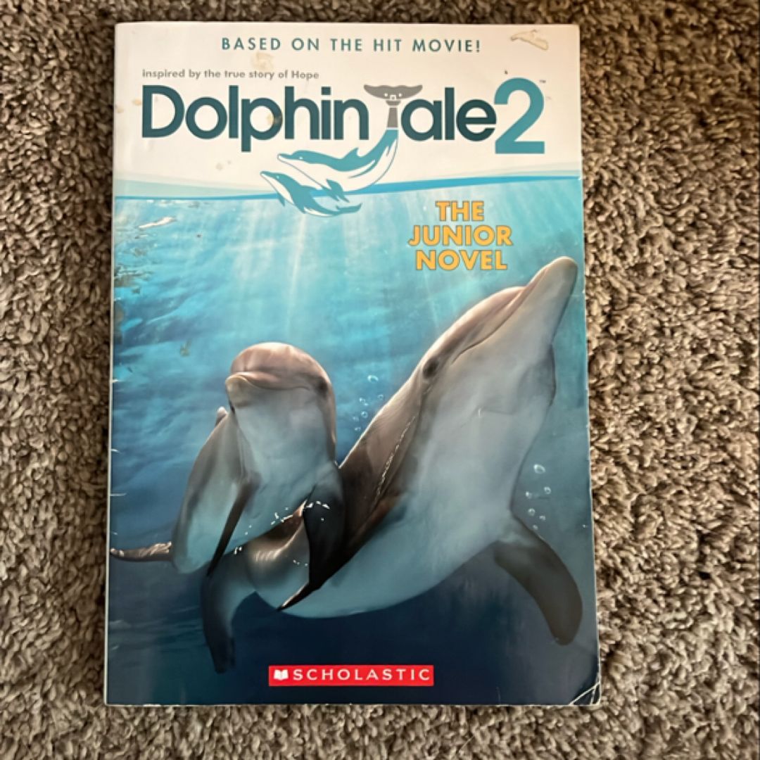 Dolphin Tale 2
