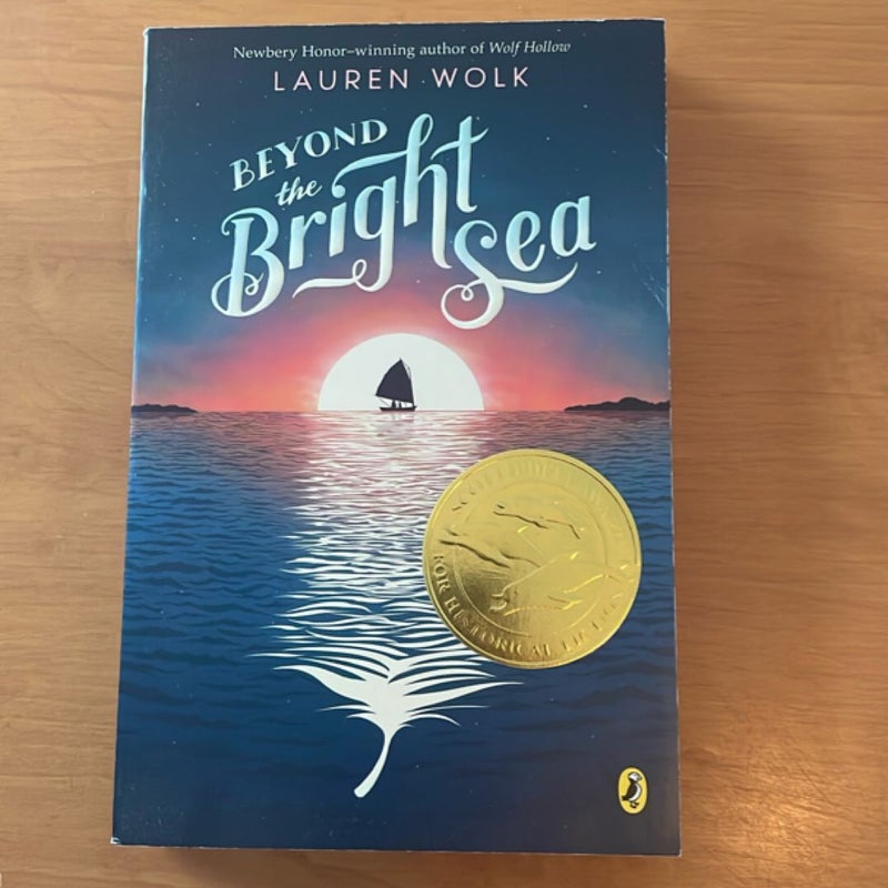 Beyond the Bright Sea