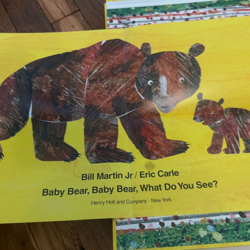 Baby Bear, Baby Bear, What Do You See?