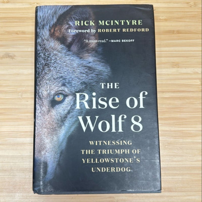 The Rise of Wolf 8