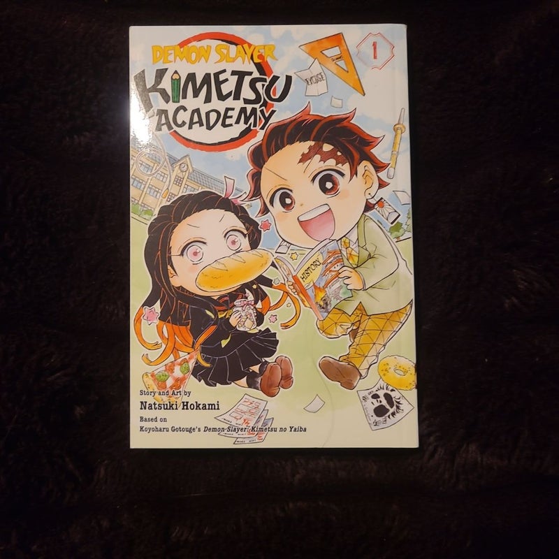 Demon Slayer: Kimetsu Academy, Vol. 1