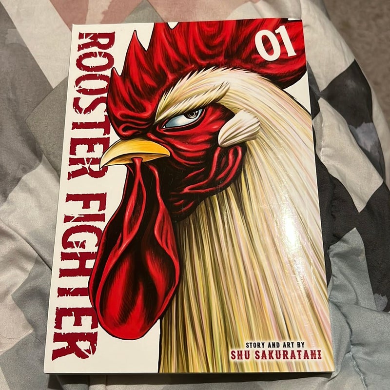 Rooster Fighter Vol 1 By Shu Sakuratani Paperback Pangobooks