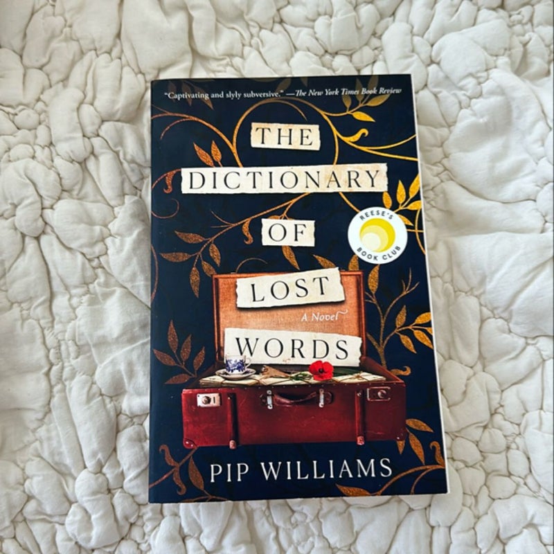 The Dictionary of Lost Words